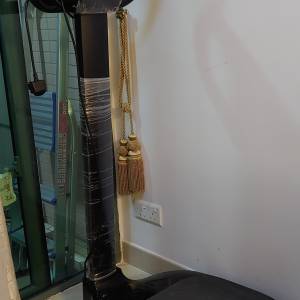 韓國 SONIX 聲波訓練肌肉 / 震動儀