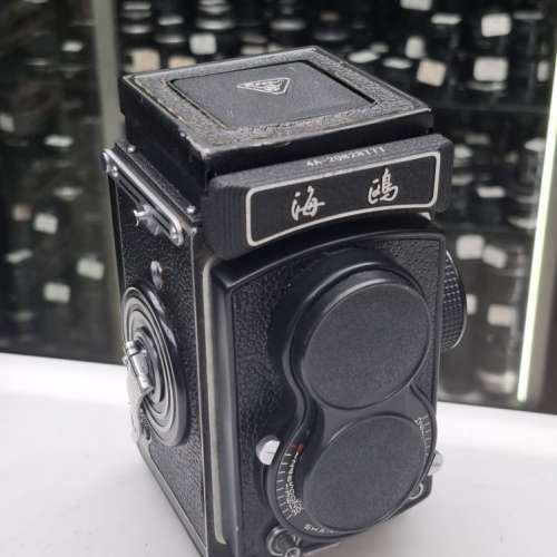 海鸥4A 6x6 全正常