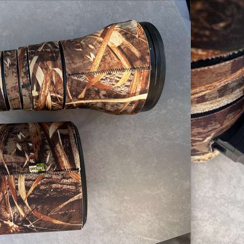 Nikon Z9 + 800mm 沙雀ACE XL