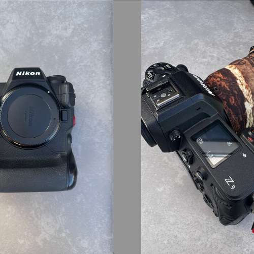 Nikon Z9 + 800mm 沙雀ACE XL