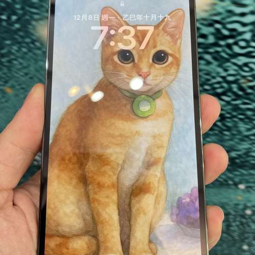 Apple iPhone 13 Pro Max 松嶺綠色 1TB