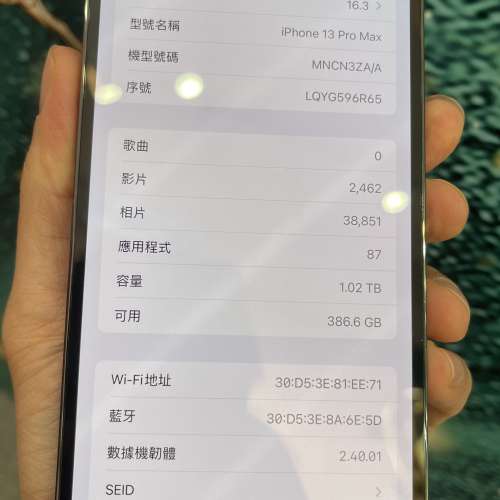 Apple iPhone 13 Pro Max 松嶺綠色 1TB