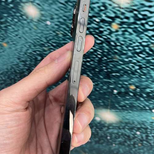 Apple iPhone 13 Pro Max 松嶺綠色 1TB