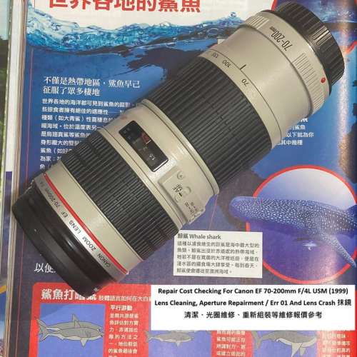 Repair Cost Checking For Canon EF 70-200mm F/4L USM (1999) Lens Cleaning