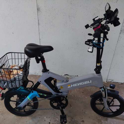 ZHENGB永步電動自行車