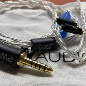 全新 PW Audio SPC 2pin 4.4