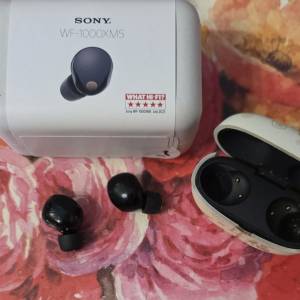 Sony WF-1000xm5