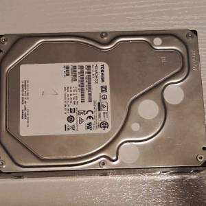 Toshiba 4T hard Disk (4T 中文 DSD)