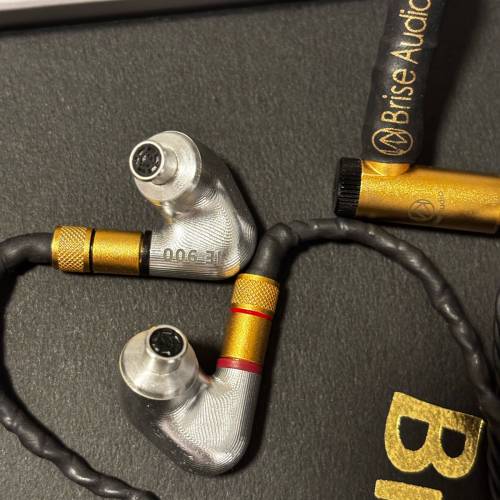 Sennheiser IE900 + Brise audio Naobi - Ultimate