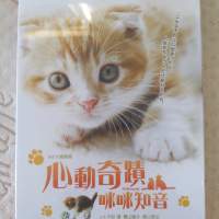 全新 心動奇蹟咪咪知音 DVD 日本電影 日語/粵語對白 中英文字幕