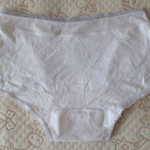 全新低腰內褲 內褲 透氣內褲 提臀三角褲 生理內褲 生理褲 底褲
