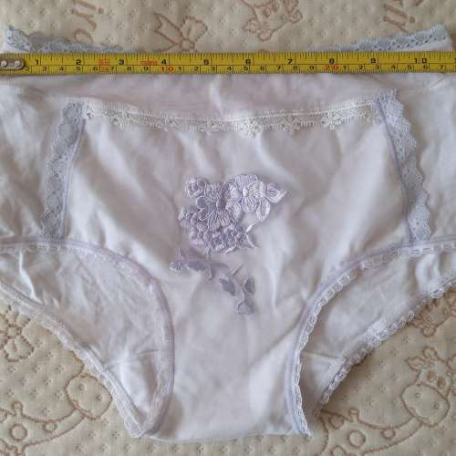 全新低腰內褲 內褲 透氣內褲 提臀三角褲 生理內褲 生理褲 底褲