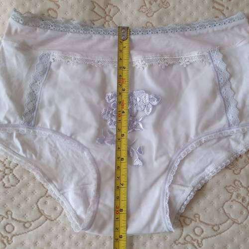 全新低腰內褲 內褲 透氣內褲 提臀三角褲 生理內褲 生理褲 底褲