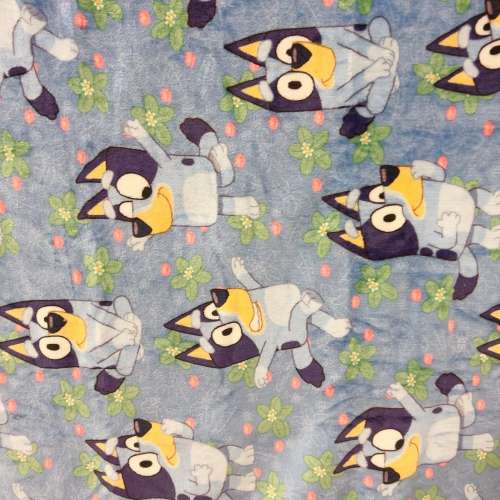 價值四百幾🌟 ［$199.99買一送一］買歐美全新正版、特別版吸血鬼伯爵bluey公仔63 c...