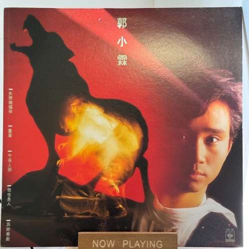 郭小霖-小霖秘笈 / 失戀蝙蝠俠 (黑膠)