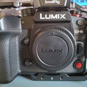 Panasonic Lumix GH6