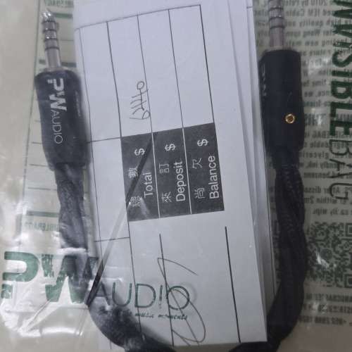 PW Audio First Time 4.4 鍍銠 過機線 對錄線