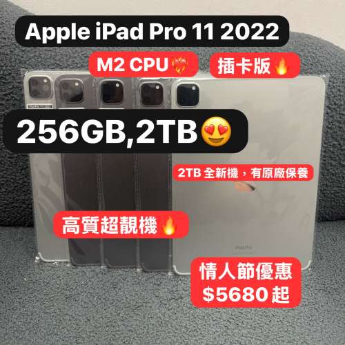 （😻情人節優惠😻）電子之家，Apple iPad專家/Apple iPad Pro 11吋 2022 M2/插卡版...