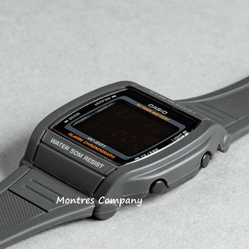 Montres Company 香港註冊公司(32年老店) 卡西歐 CASIO 10年電池壽命 50米防水 全...