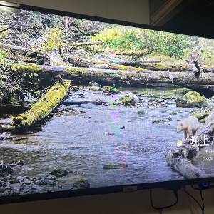 TCL 40寸智能電視