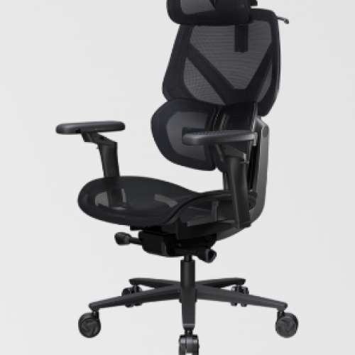 THUNDERX3 FLEX Pro | MESH ERGONOMIC OFFICE CHAIR Colors: Mesh Black