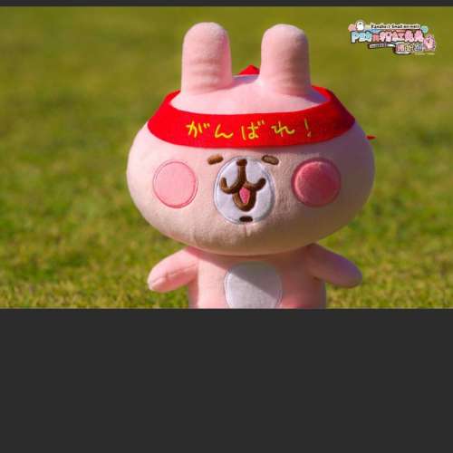 kanahei run 2022     粉紅兔兔賽跑加油公仔加氣公仔     兔兔 兔哥 chiikawa