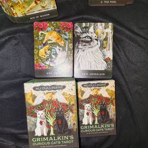 正版二手塔羅牌GRIMALKIN'S CURIOUS CAT TAROT