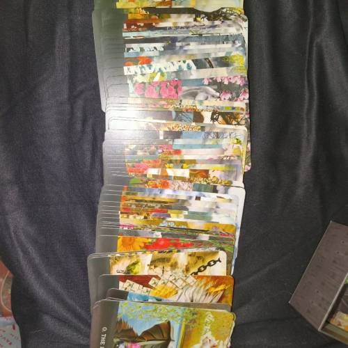 正版二手塔羅牌GRIMALKIN'S CURIOUS CAT TAROT