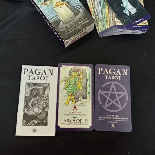正版僅開封塔羅牌PAGAN TAROT