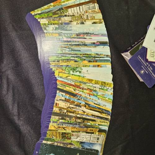 正版僅開封塔羅牌PAGAN TAROT