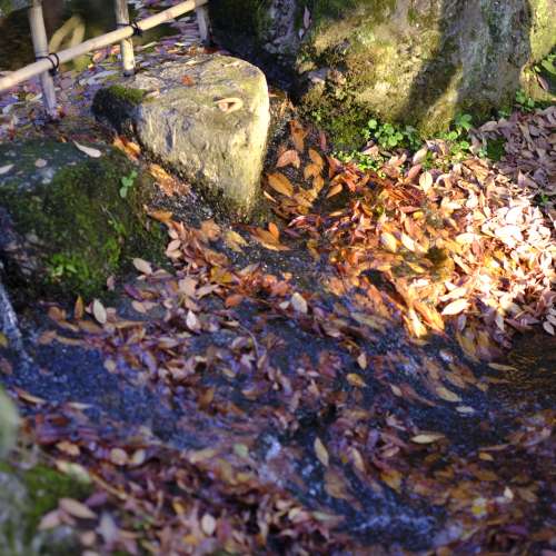 Pentax 67 6x7 SUPER Takumar 105mm f2.4 鏡頭