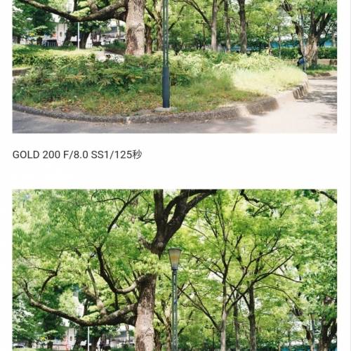 [現貨交收] 柯達 Kodak ColorPlus 200 Gold 200 菲林 36 張 拍攝 攝影 底片 菲林相機