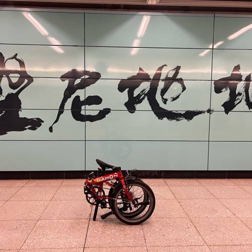 dahon p8 40周年纪念版