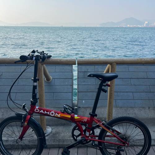 dahon p8 40周年纪念版