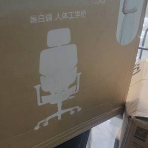 人體工學電腦椅