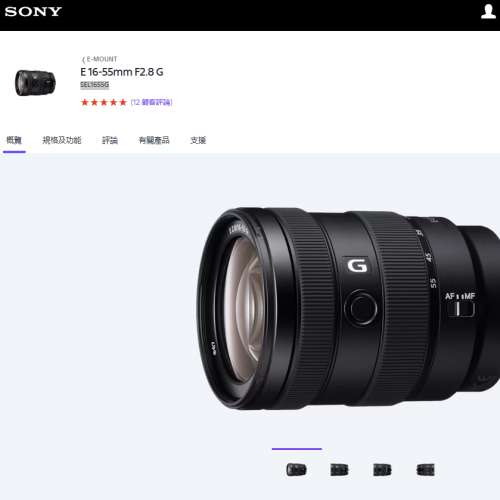 E Mount 16-55mm F2.8 G, SEL1655G