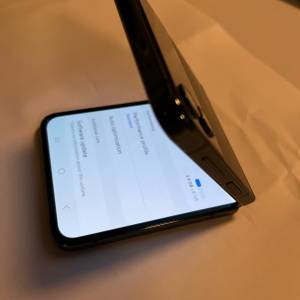 Samsung Flip 4 （F721U) 有中文