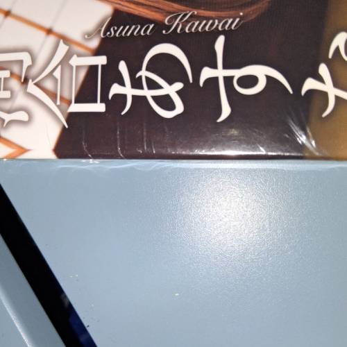 河合あすな寫真集（全新,購自日本）