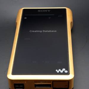 Sony NW-WM1Z WM1Z 金磚 行貨 一代 已過保