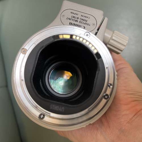 EF 300mm f/4L IS USM + Canon Extender EF 1.4x III