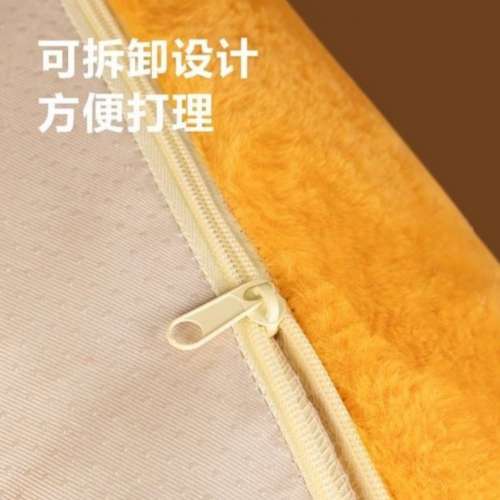 加菲貓 Garfield 寵物疏化