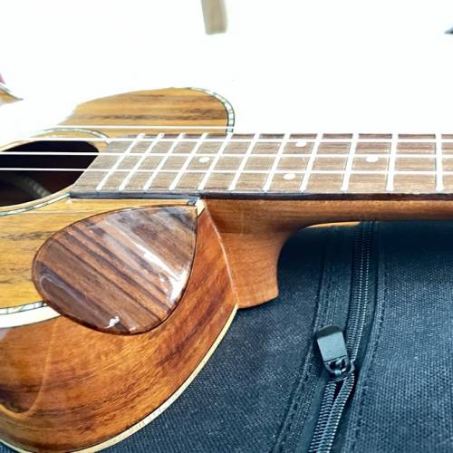 夏威夷26寸雙靠手單版