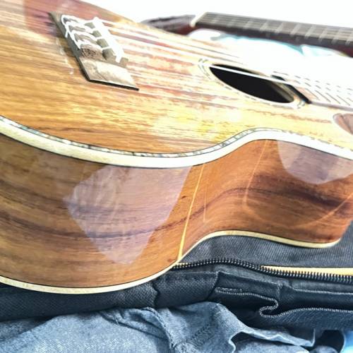 夏威夷26寸雙靠手單版