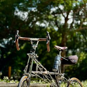 Alex Moulton New Series Pylon S- 中國限量版