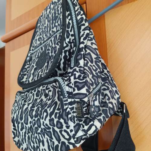 二手AODILONG Backpack 背包 側背袋 背囊 手袋 書包 電腦袋 雙肩包 斜背袋 手挽袋 ...