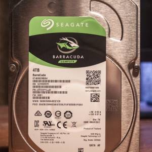Seagate 4TB
