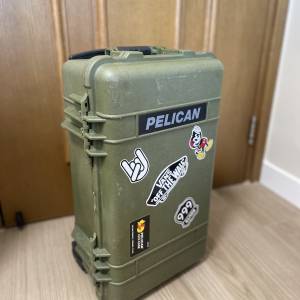 Pelican 1510 Case