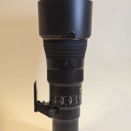 Nikon AF-S NIKKOR 500mm f/5.6 PF ED