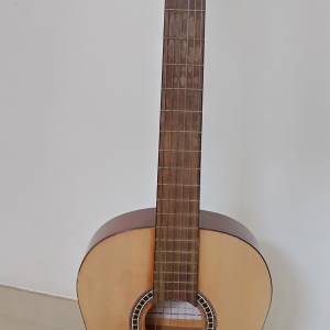 古典結他(Classical Guitar)