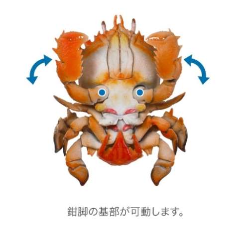 toy 蟹扭虿号蛋 call